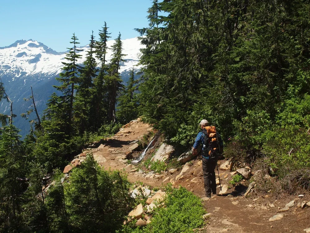 A hiker with a backpack and walking stick hikes along a rocky mountain trail surrounded by green trees, with snow-capped mountains in the background and a clear blue sky.