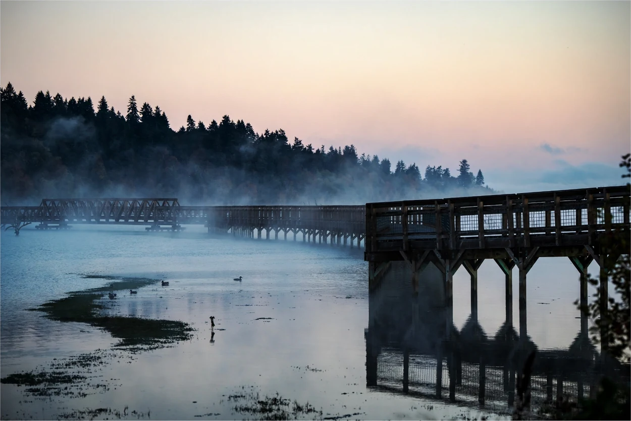 Fog and quiet water around a wooden waterfront boardwalk