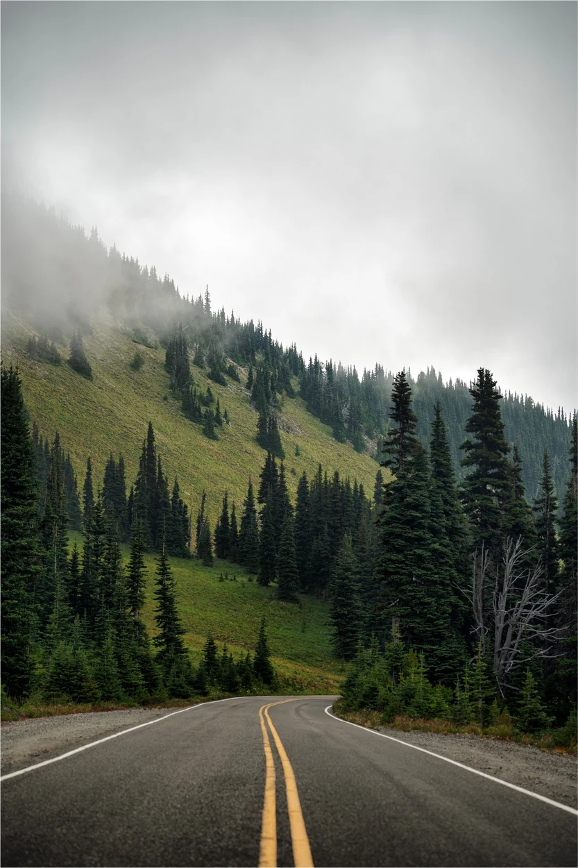 Winding mountain road into a cloud-covered evergreen forest