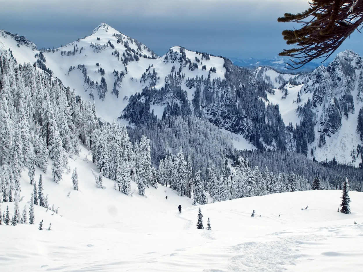 Snow-covered Cascade mountains and evergreen trees in winter
