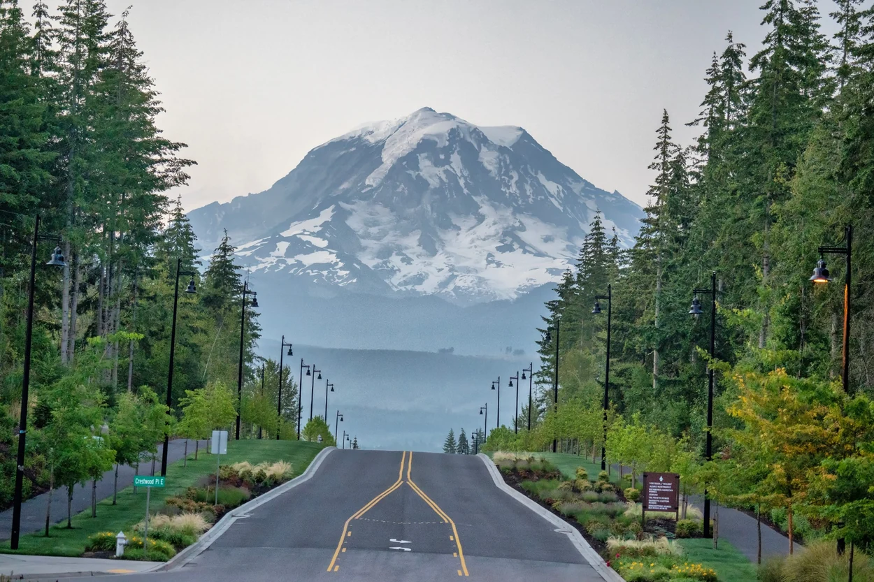 Road lined with evergreens leading toward Mount Rainier
